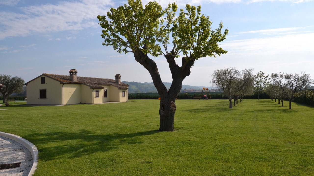Photo of Outdoor in Mondolfo