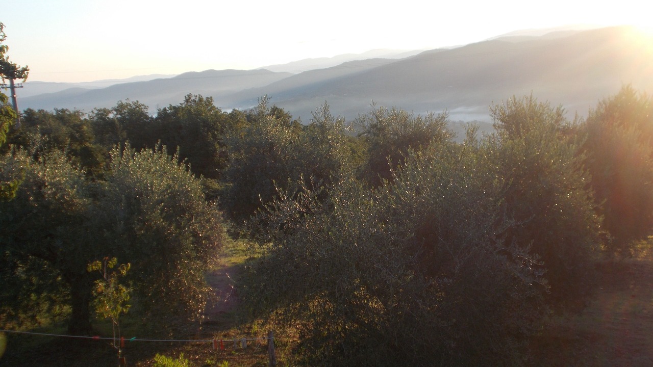 Photo of Outdoor in Greve in Chianti