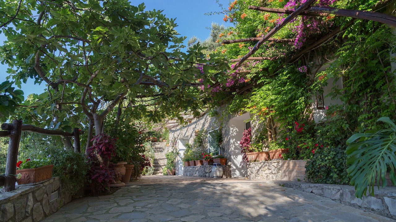 Photo of Outdoor in Vico Equense