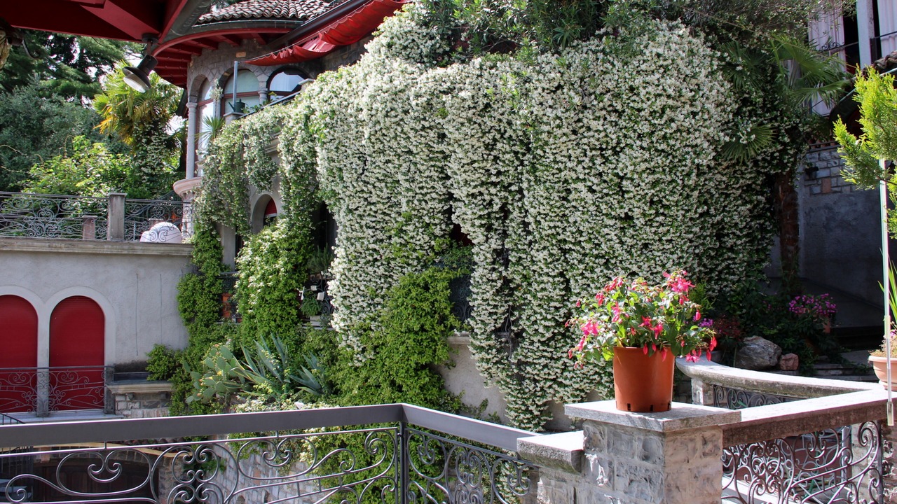 Photo of Outdoor in Castagnola