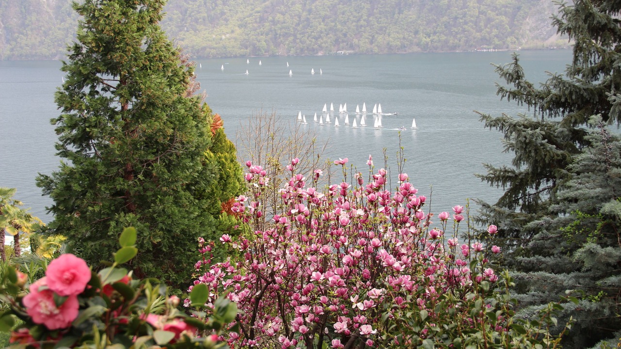 Photo of Outdoor in Castagnola