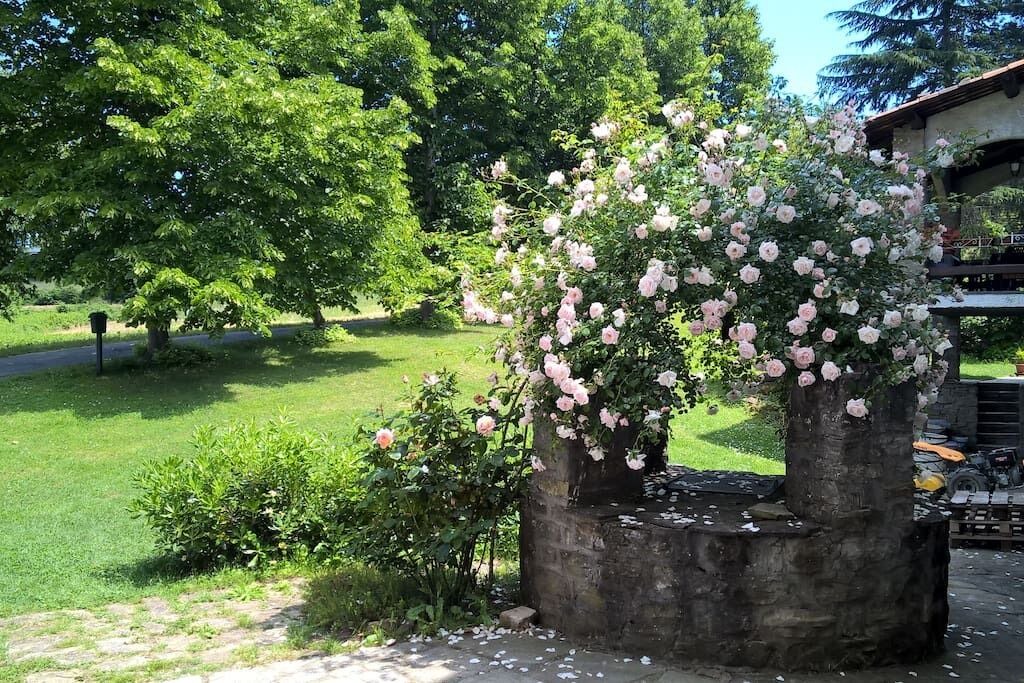 Photo of Outdoor in Roccaverano