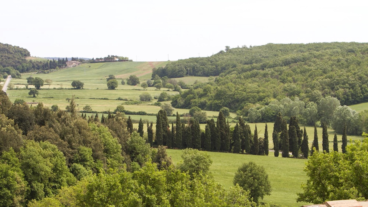 Photo of Others in Simignano