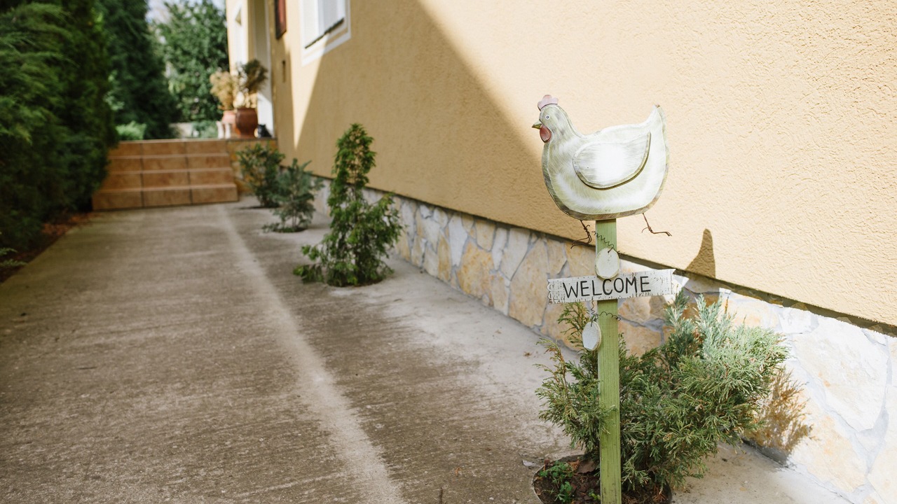 Photo of Outdoor in Palic