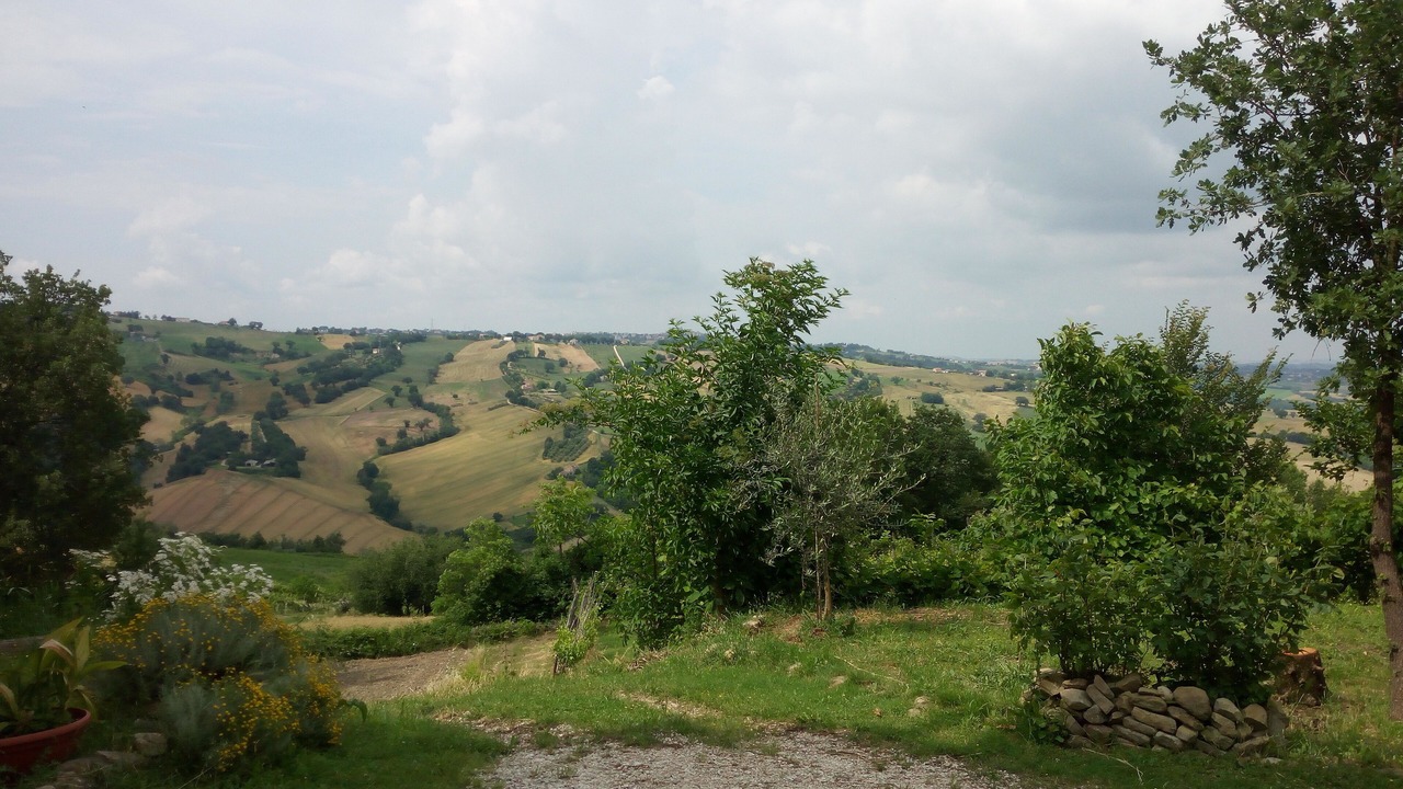 Photo of Outdoor in SantʼAngelo in Pontano
