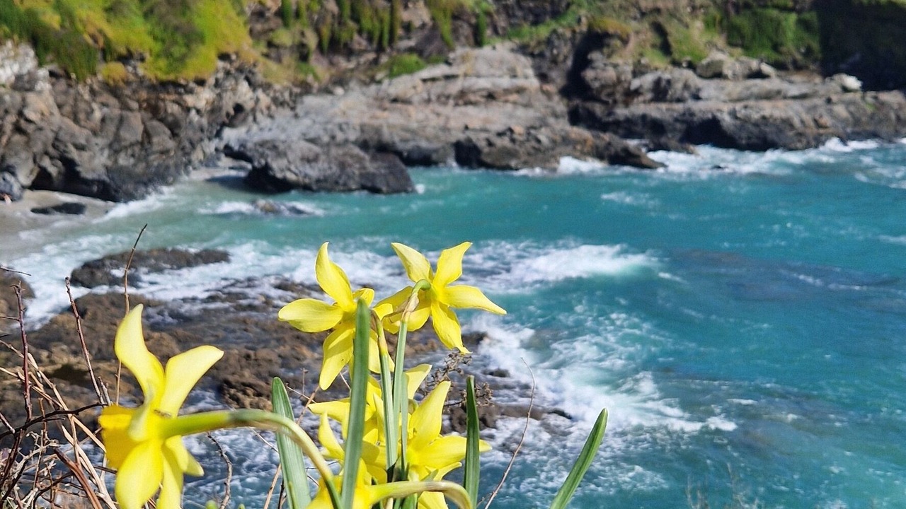 Photo of Outdoor in Perranporth
