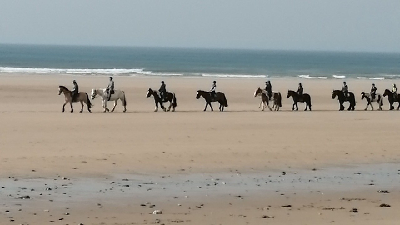 Photo of Others in Perranporth