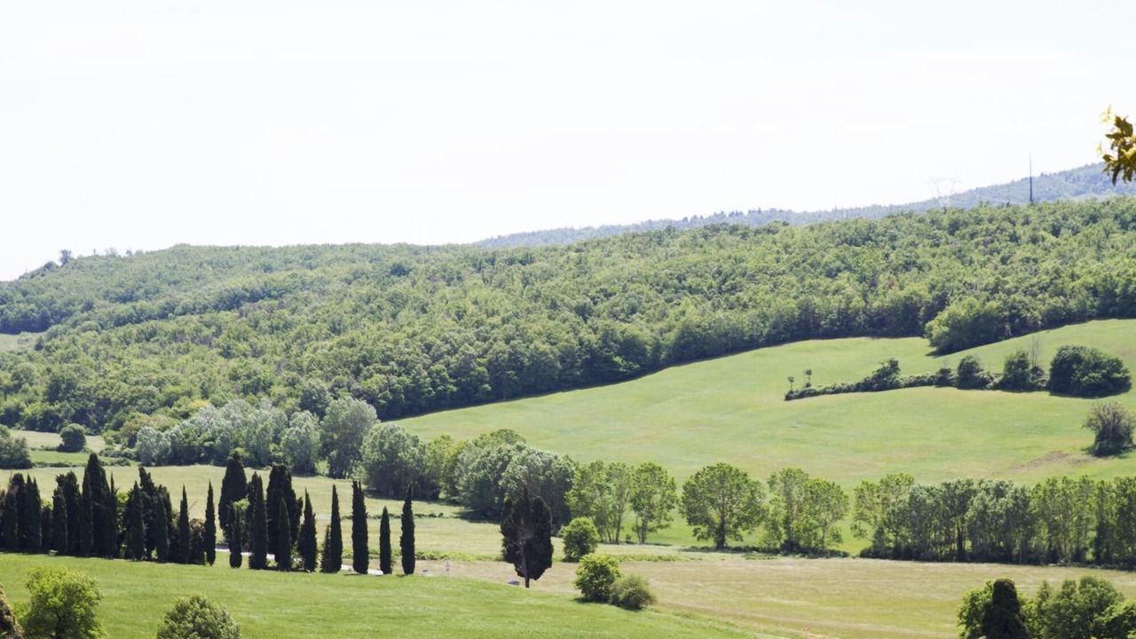 Photo of Others in Simignano