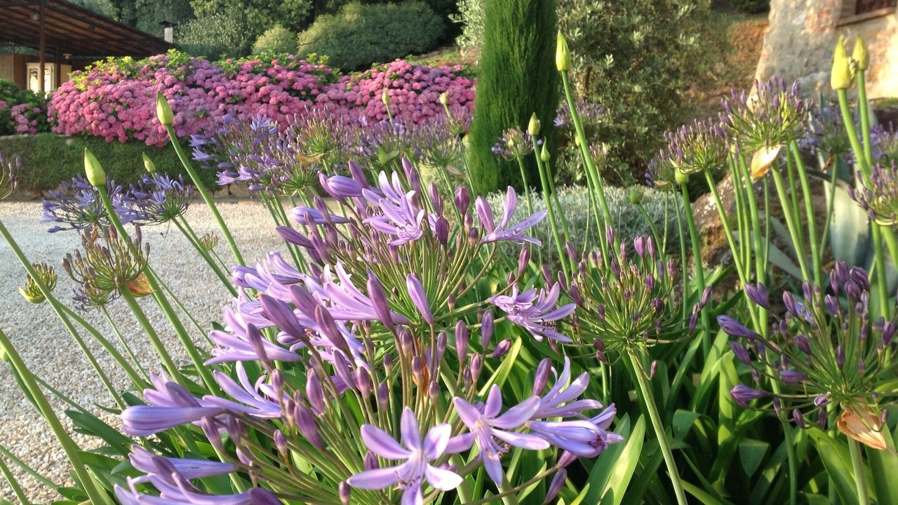 Photo of Outdoor in Simignano