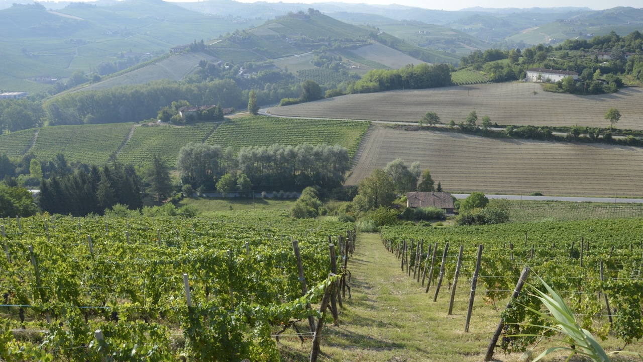 Photo of Outdoor in Alba