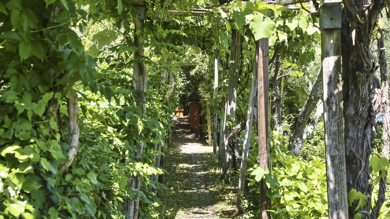 Photo of Outdoor in Vicopelago