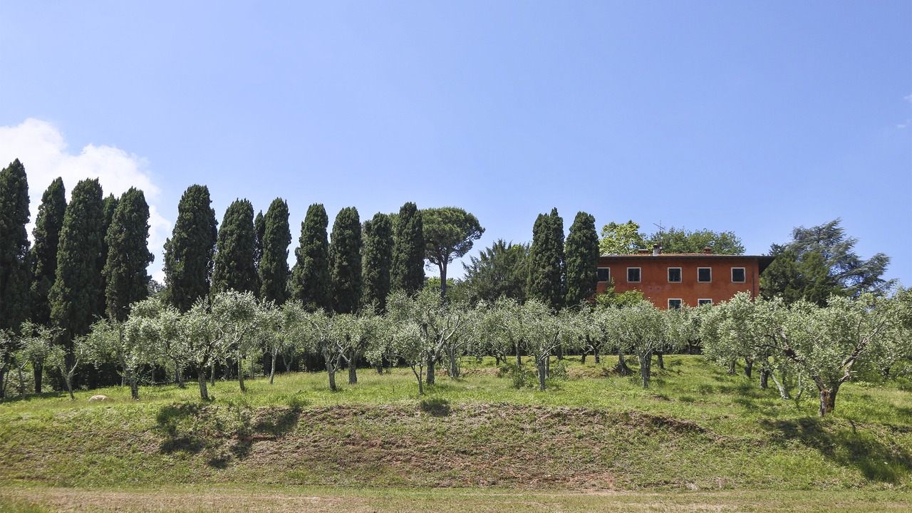 Photo of Outdoor in Vicopelago