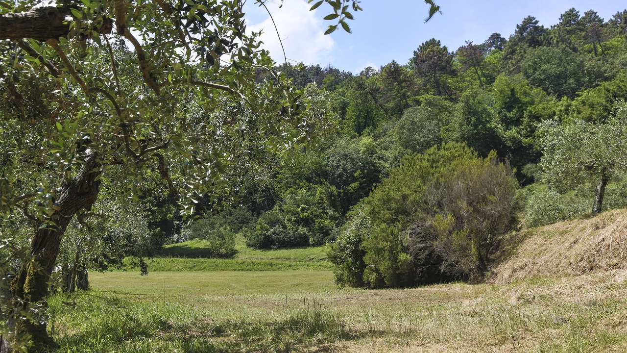 Photo of Outdoor in Vicopelago