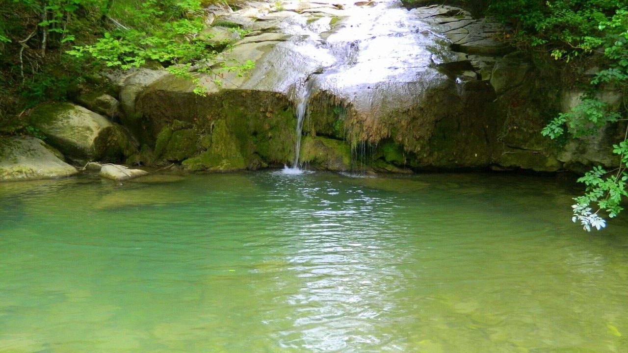Photo of Outdoor in Caprese Michelangelo