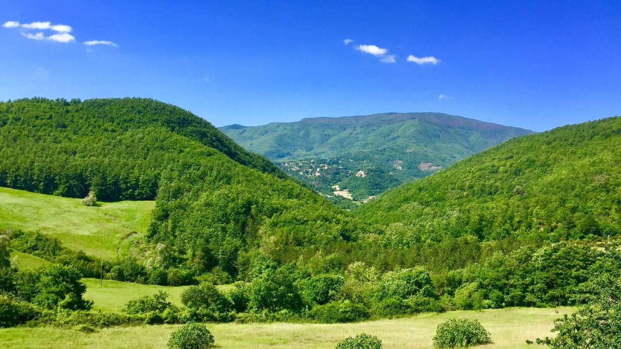 Photo of Outdoor in Caprese Michelangelo