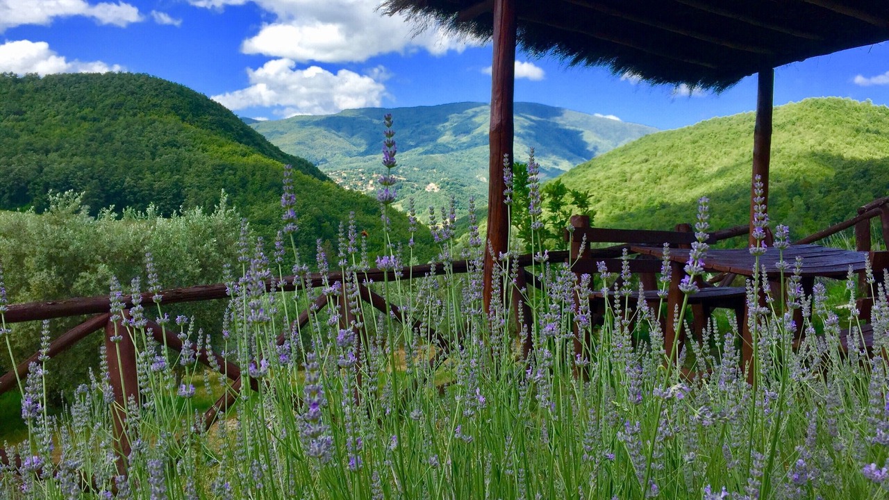 Photo of Outdoor in Caprese Michelangelo