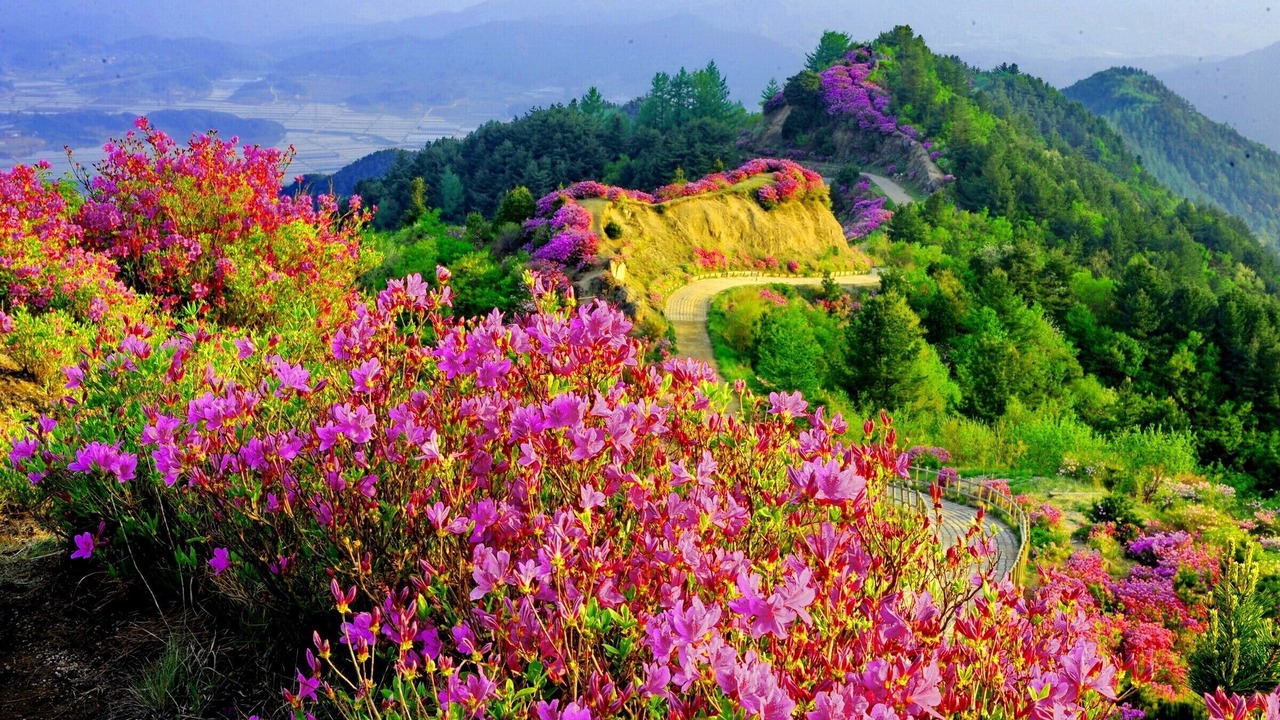 Photo of Outdoor in Caprese Michelangelo