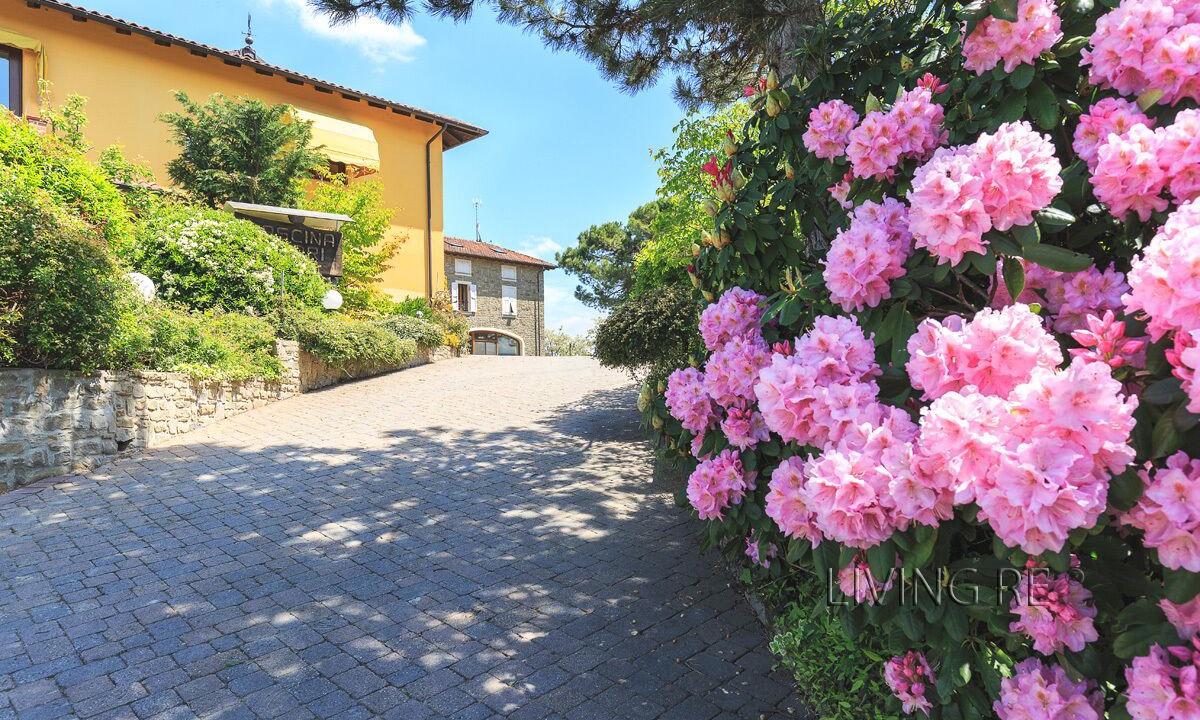 Photo of Outdoor in Cremolino