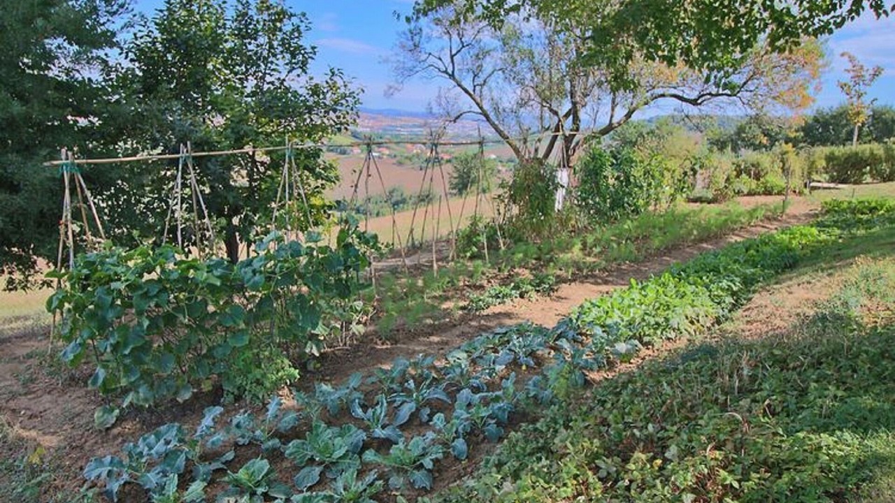 Photo of Outdoor in Montelabbate