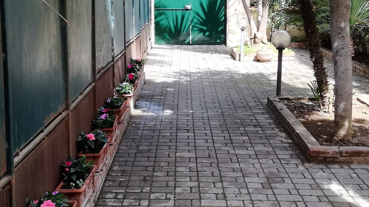 Photo of Outdoor in Santa Marinella