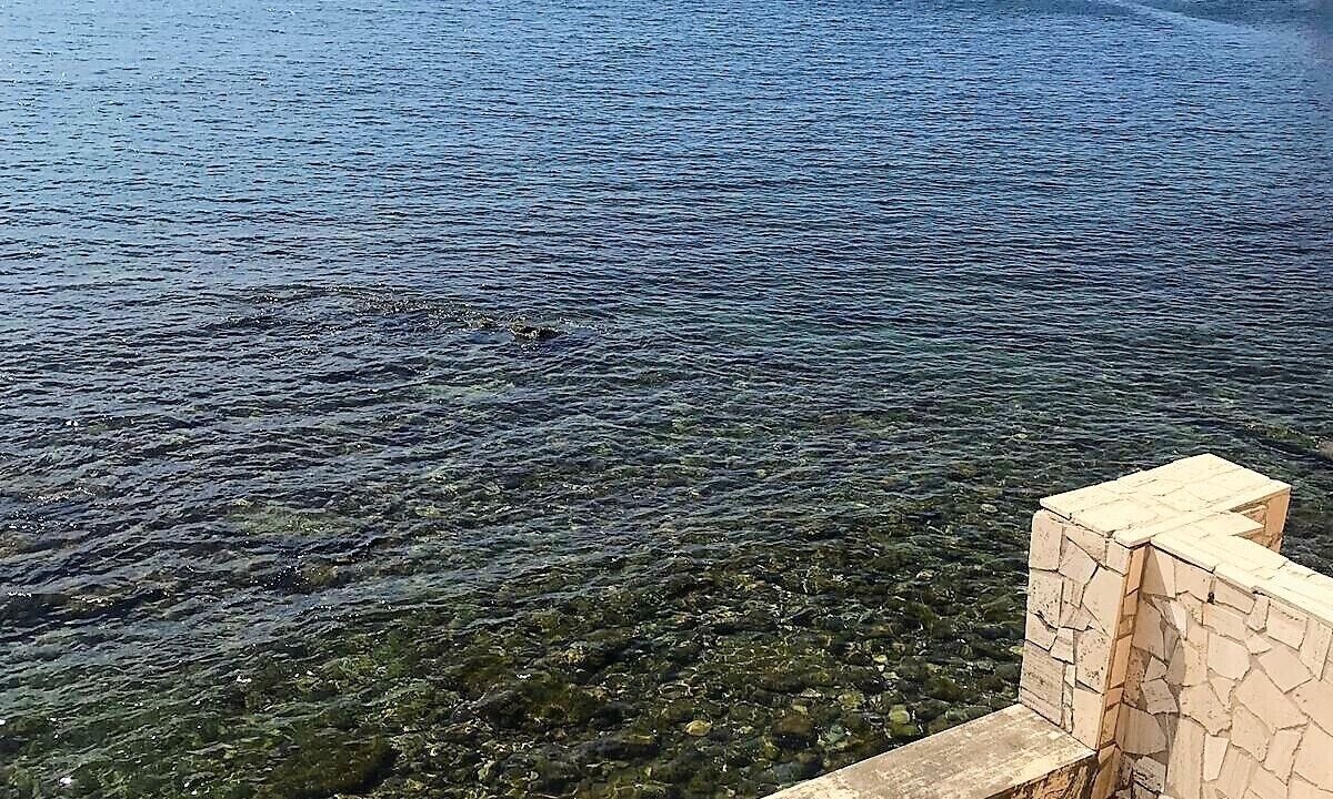 Photo of Others in Santa Marinella
