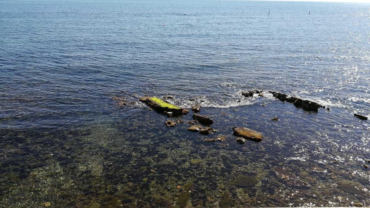 Photo of Others in Santa Marinella