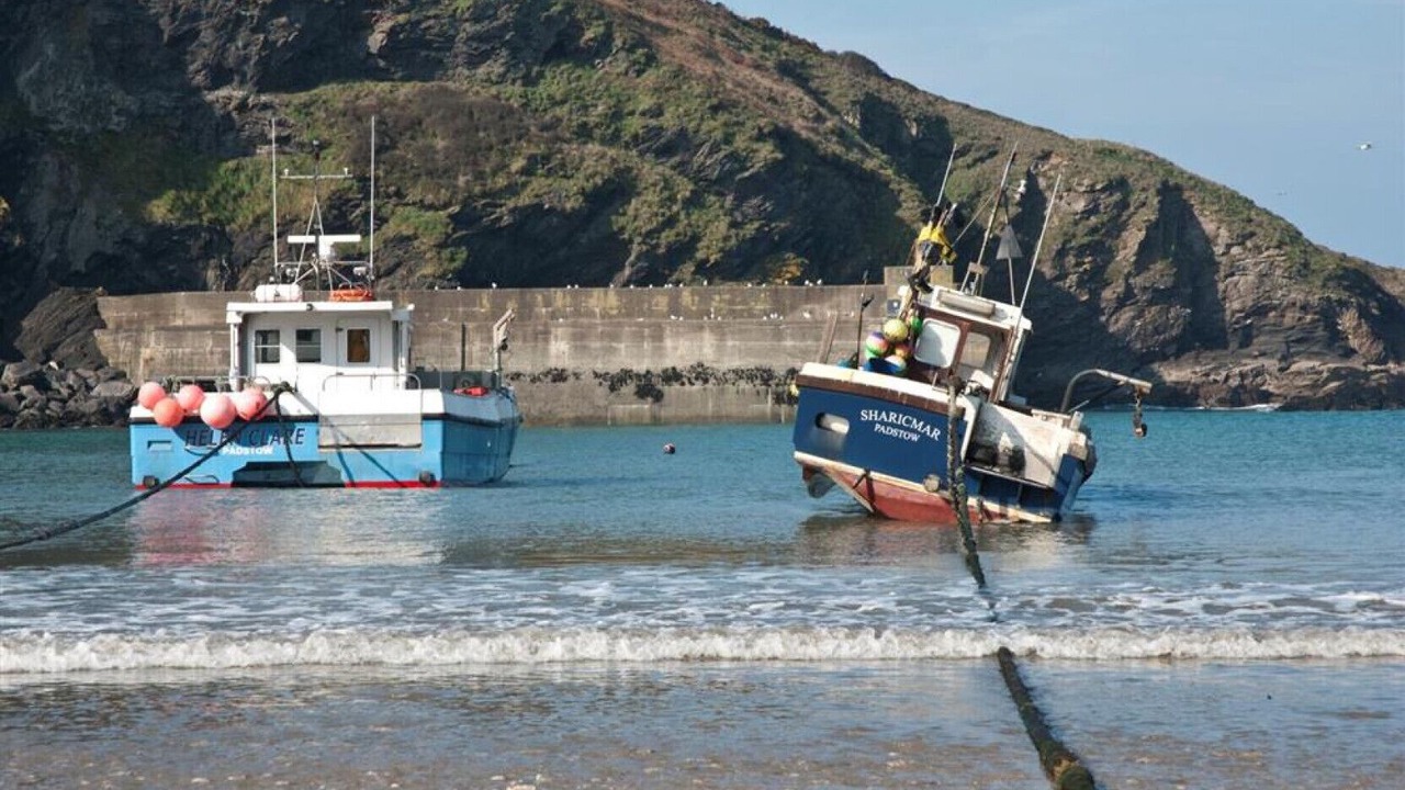 Photo of Others in Port Isaac