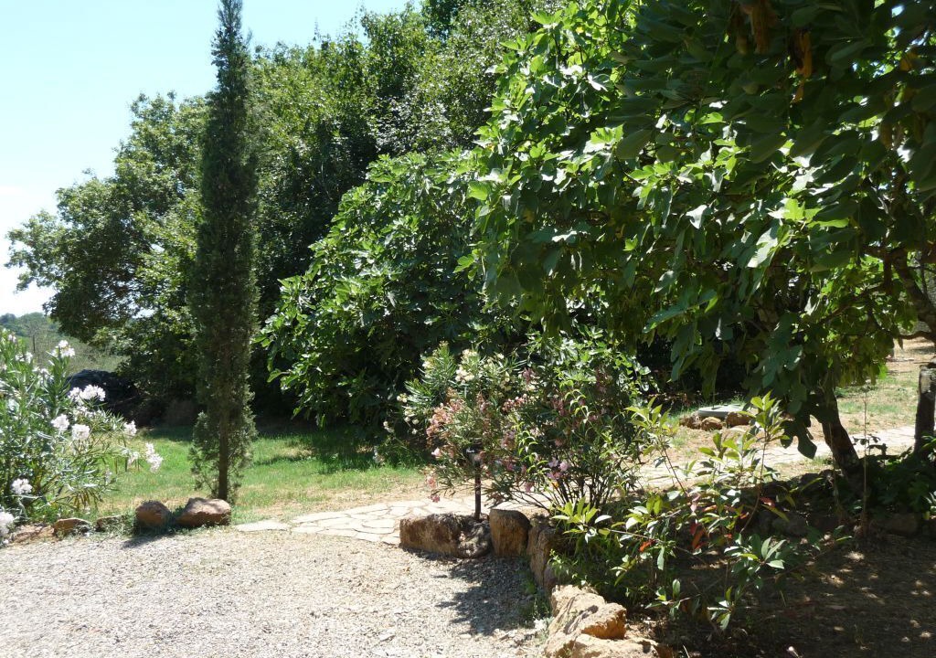Photo of Outdoor in Civitella Paganico