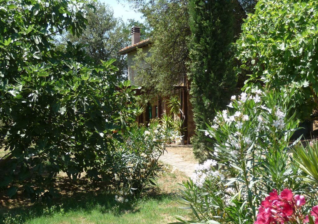 Photo of Outdoor in Civitella Paganico