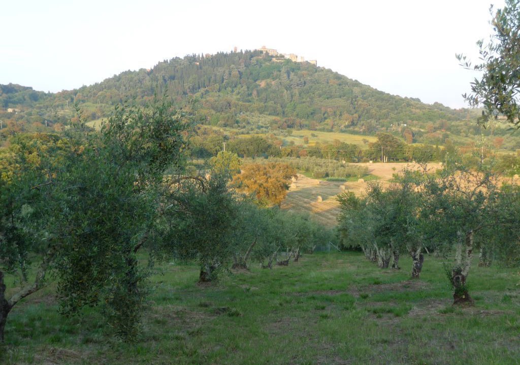 Photo of Outdoor in Civitella Paganico