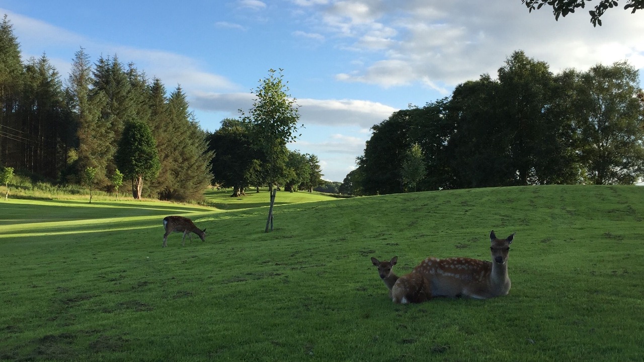 Photo of Outdoor in Strabane