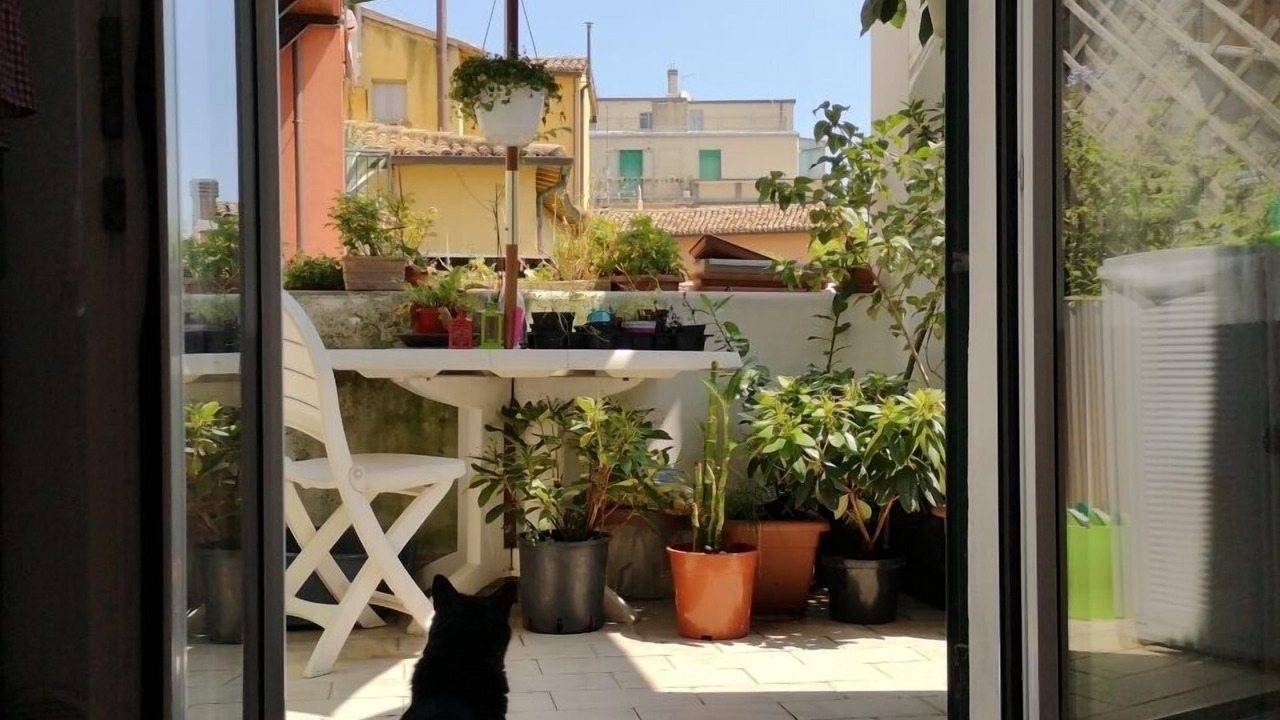 Photo of Others in Pesaro