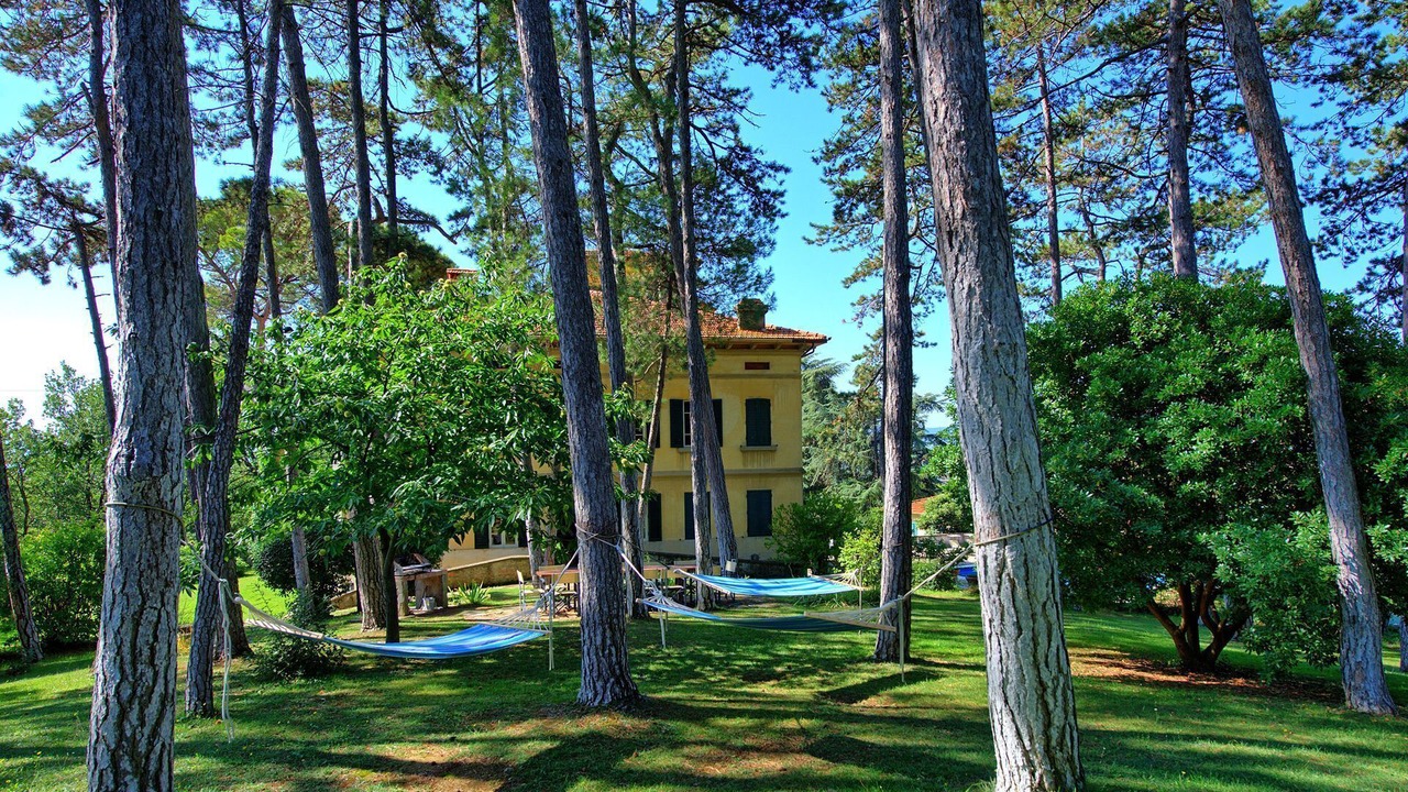 Photo of Outdoor in Ponte Buriano