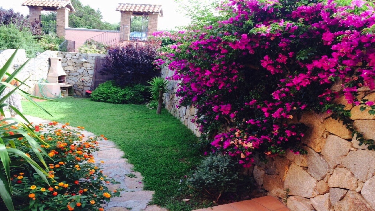 Photo of Outdoor in Porto Pollo