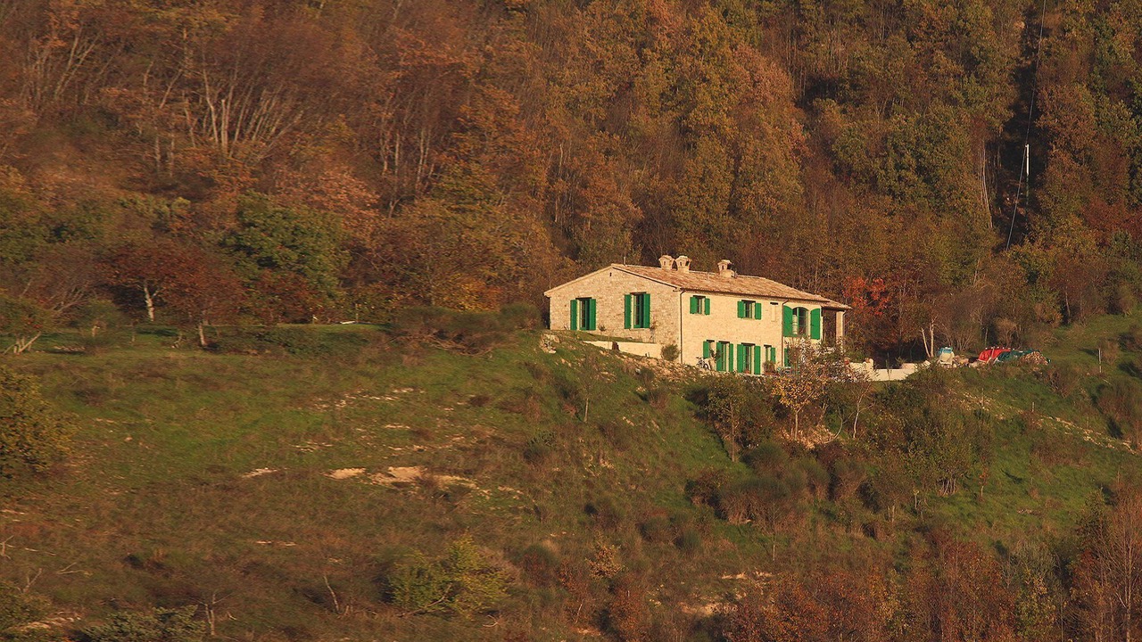 Photo of Outdoor in Furlo