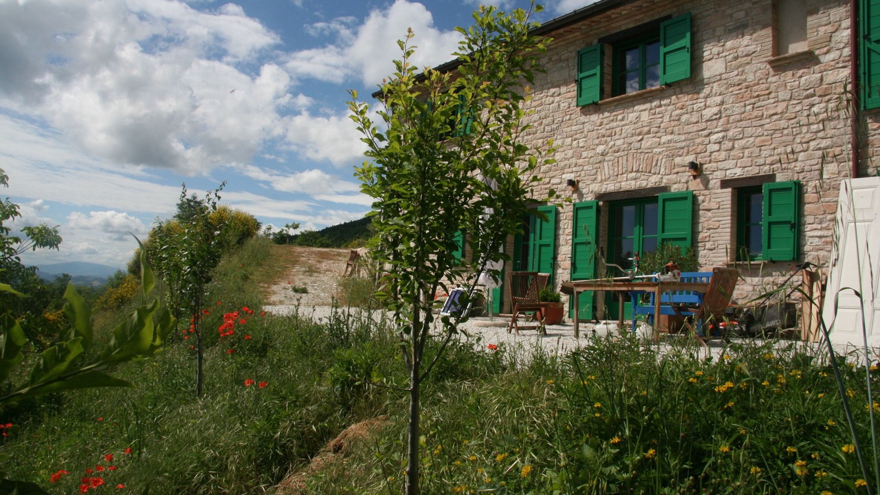 Photo of Outdoor in Furlo