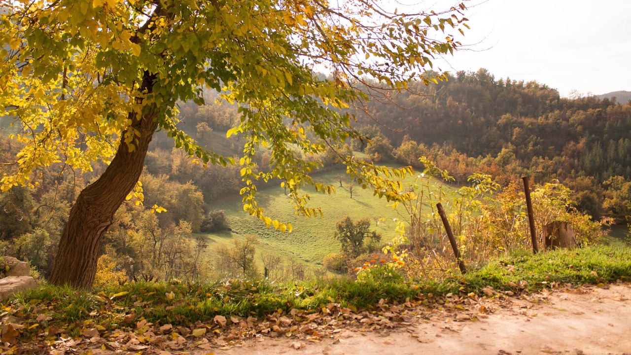 Photo of Outdoor in Furlo