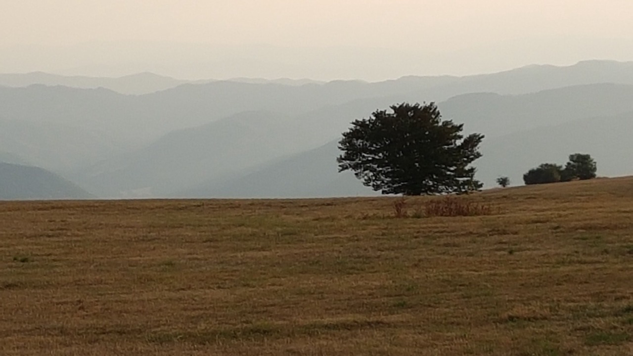 Photo of Outdoor in Furlo