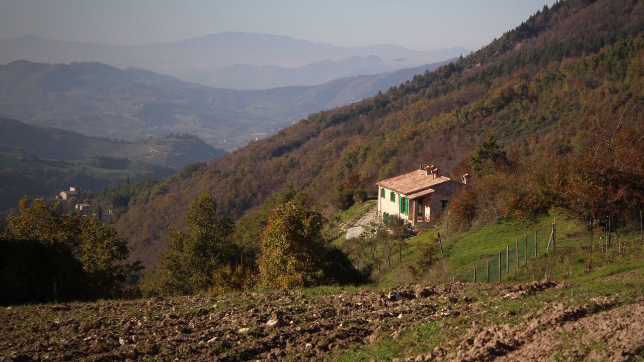 Photo of Outdoor in Furlo