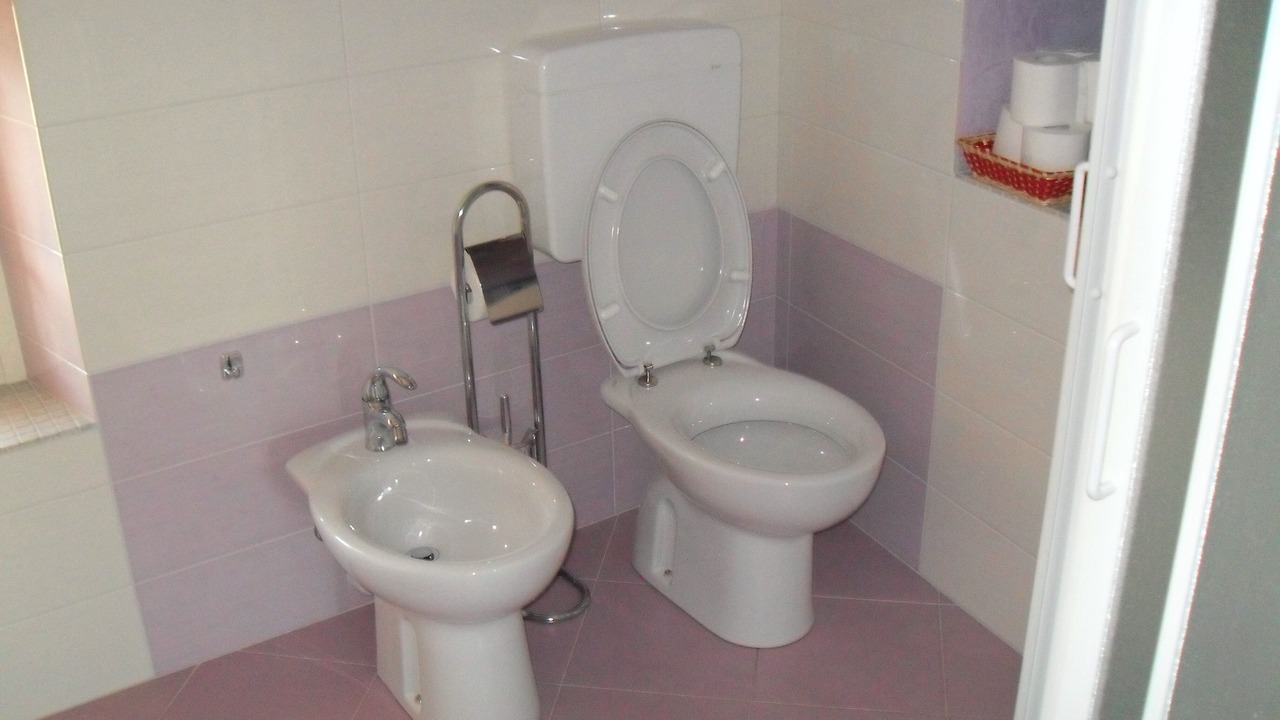 Photo of Bathroom in Albisano
