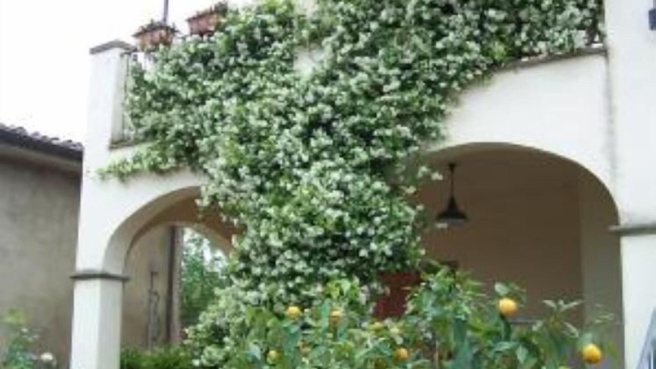 Photo of Outdoor in Gambassi Terme