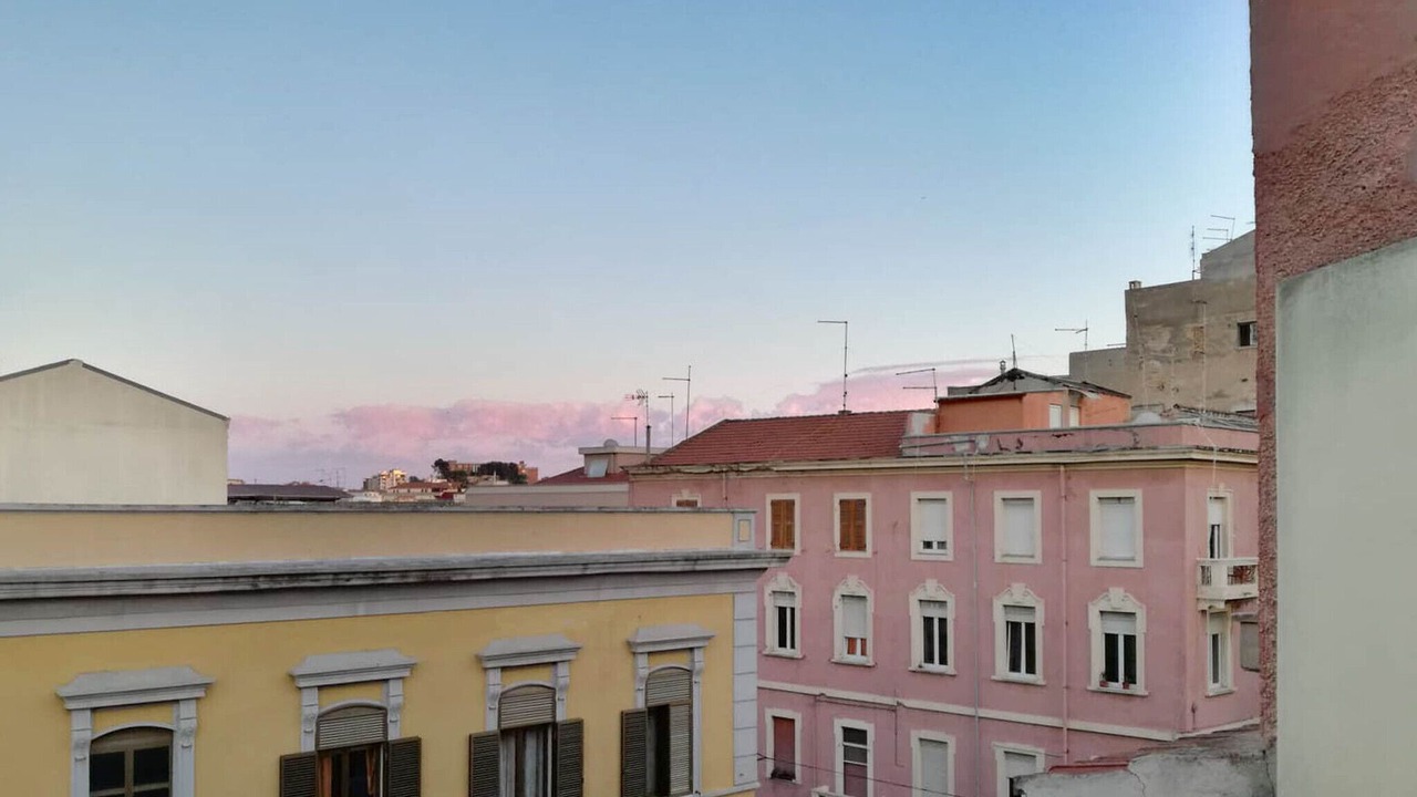 Photo of Others in Province of Cagliari