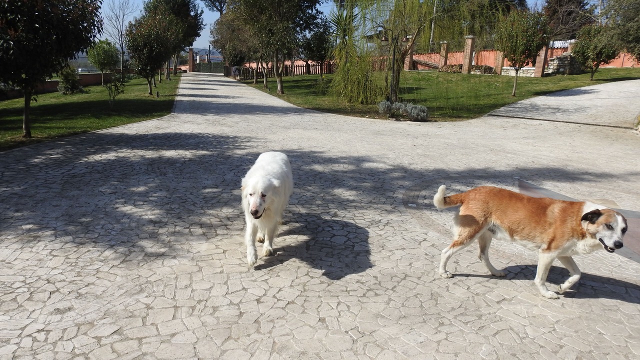 Photo of Outdoor in Fara in Sabina