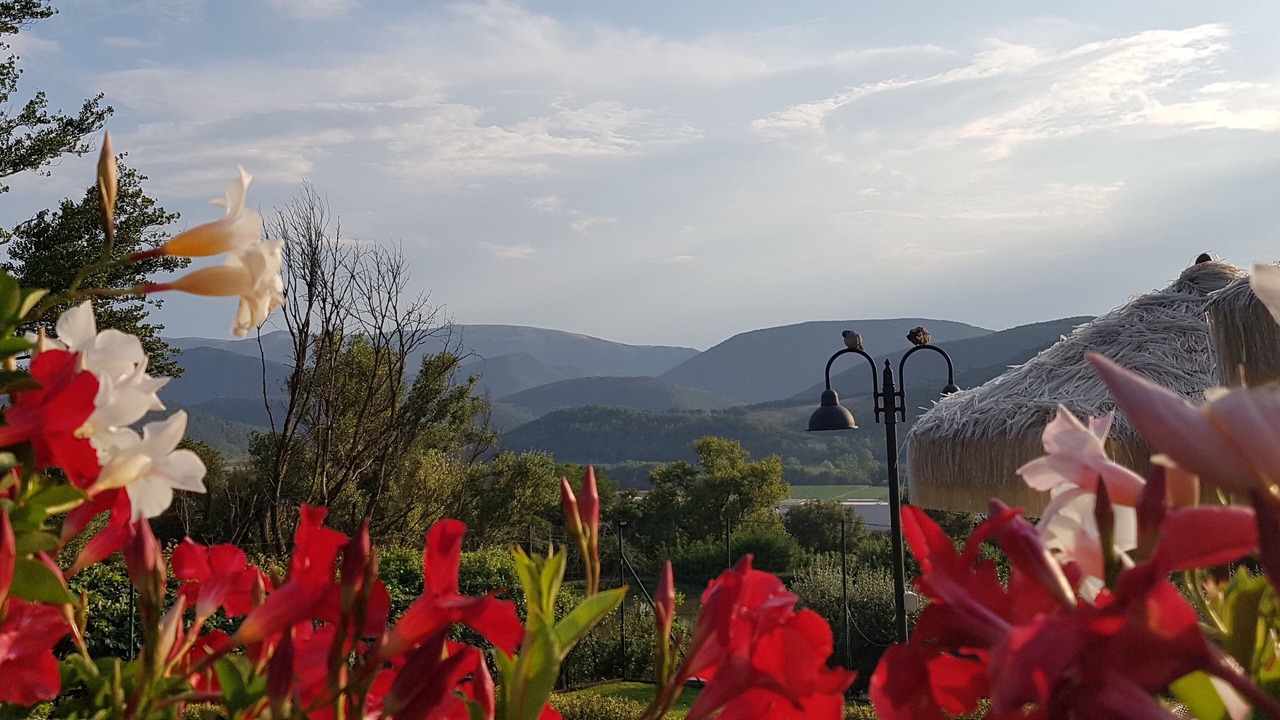 Photo of Outdoor in Pierantonio