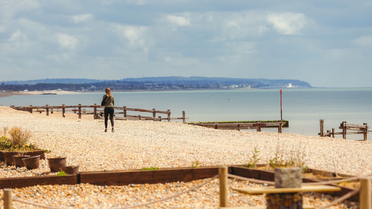 Photo of Others in Pevensey