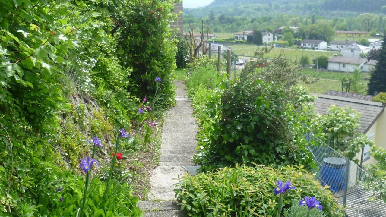 Photo of Others in Terre di Pedemonte