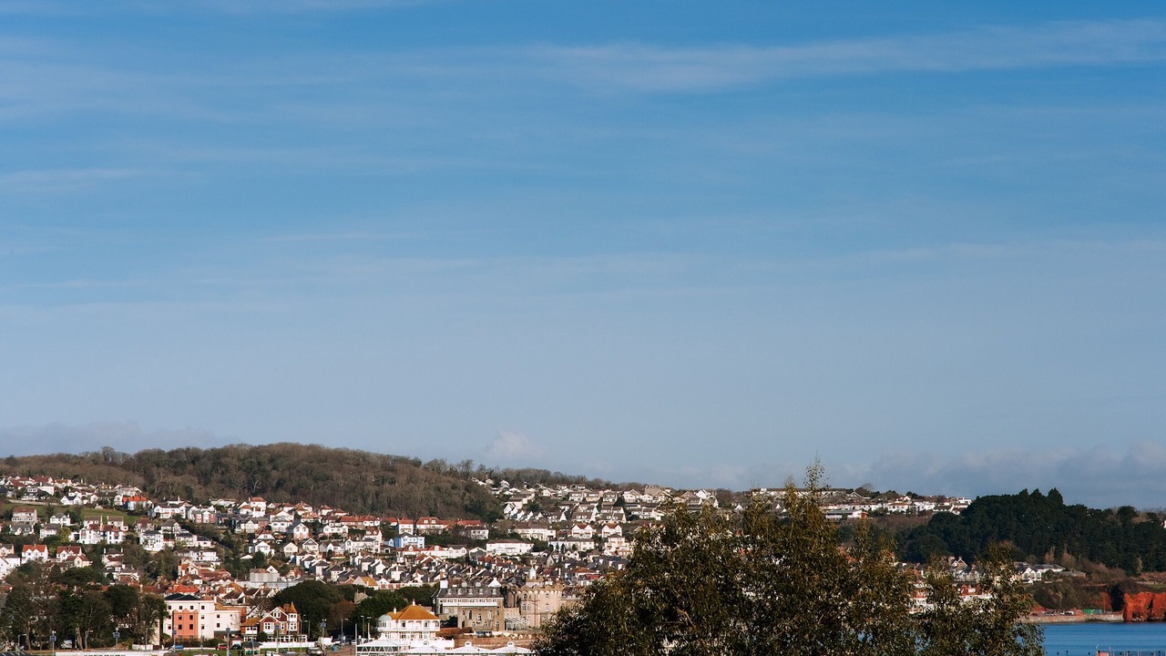 Photo of Others in Paignton