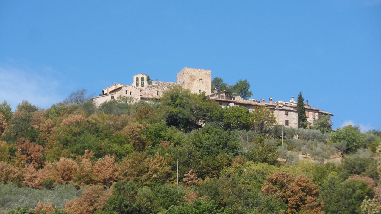 Photo of Outdoor in Morcicchia