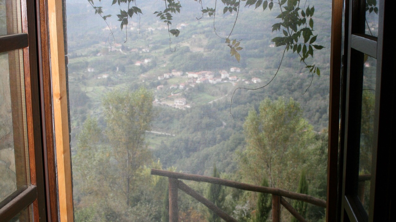 Photo of Others in Mologno