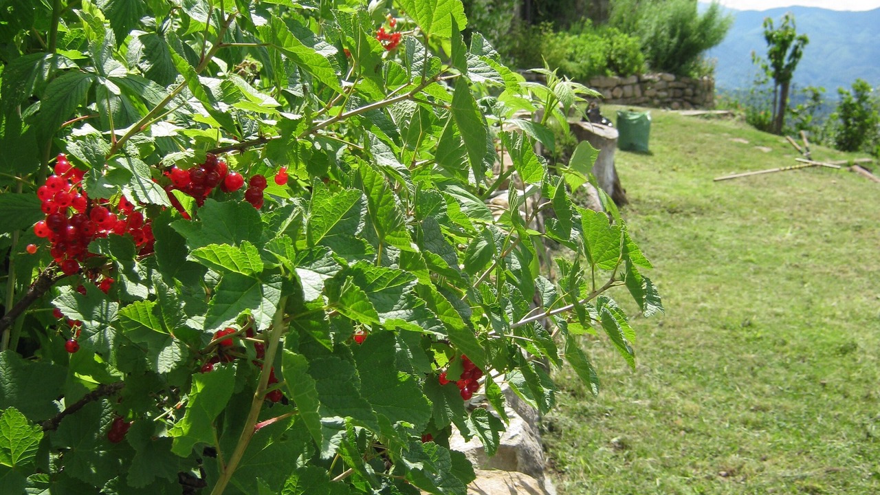 Photo of Outdoor in Mologno
